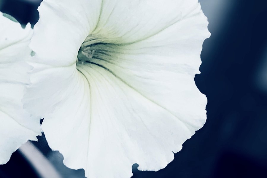 27CF226C-A041-49D3-A3A6-305CBC78819E.jpeg