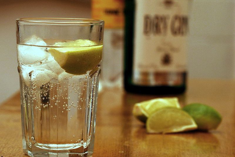800px-Gin_and_Tonic_with_ingredients.jpg