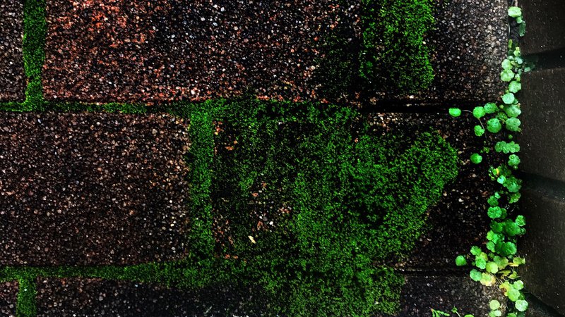 EE829052-9570-43BD-A633-A39CF079B356.jpeg
