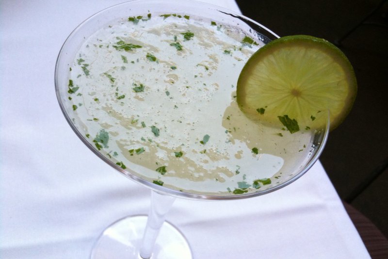 Gimlet_cocktail.jpg